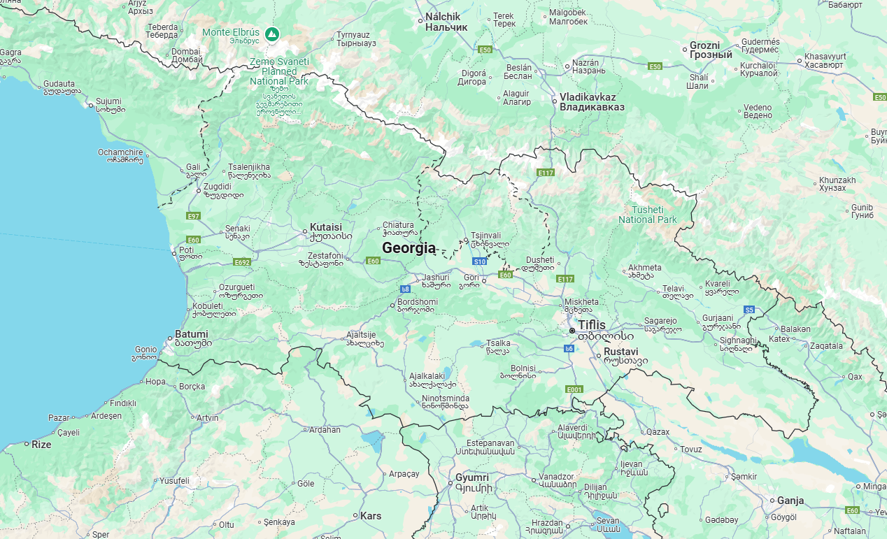 Veterinary Clinics in Georgia