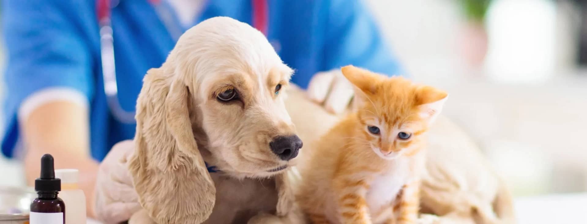 Veterinary Clinics